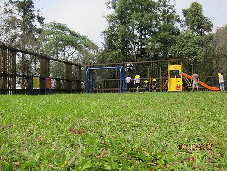 IMG_2203 IMG_2203