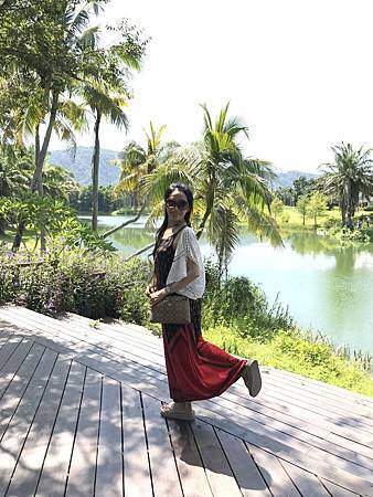 IMG_3395 IMG_3395