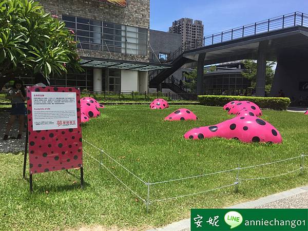 batch_IMG_0648.JPG batch_IMG_0648.JPG