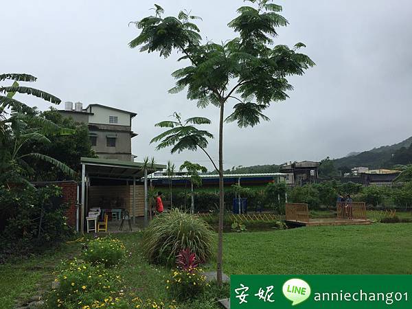 batch_IMG_9798.JPG batch_IMG_9798.JPG