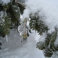 滑雪廠5.JPG