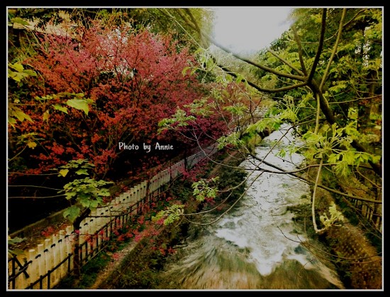 PicsArt_1360490972996 PicsArt_1360490972996