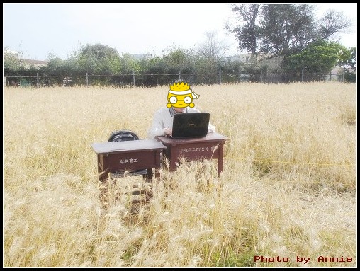 麥田裏的瘋狂電腦手-1.jpg 麥田裏的瘋狂電腦手-1.jpg