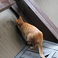 IMG_4728.JPG