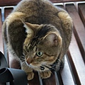 IMG_4734.JPG