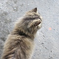 IMG_4759.JPG