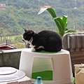 IMG_4760.JPG