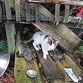 IMG_4790.JPG