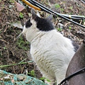 IMG_4809.JPG