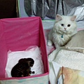 IMG_20150301_023227.jpg
