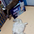 IMG_20150331_003258.jpg