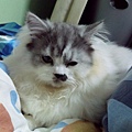 IMG_20150309_013819.jpg