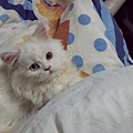 IMG_20150328_012607.jpg