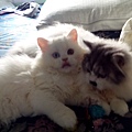 IMG_20150330_122429.jpg