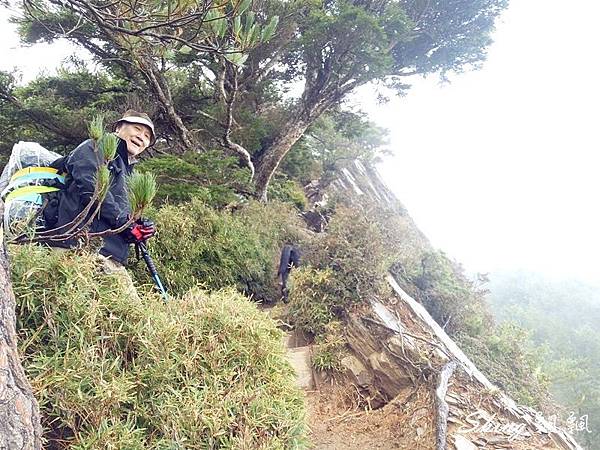 合歡山北峰 小溪營地露營07.jpg