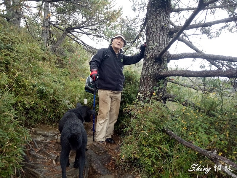 合歡山北峰 小溪營地露營11.jpg