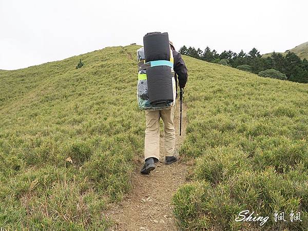 合歡山北峰 小溪營地露營125.JPG