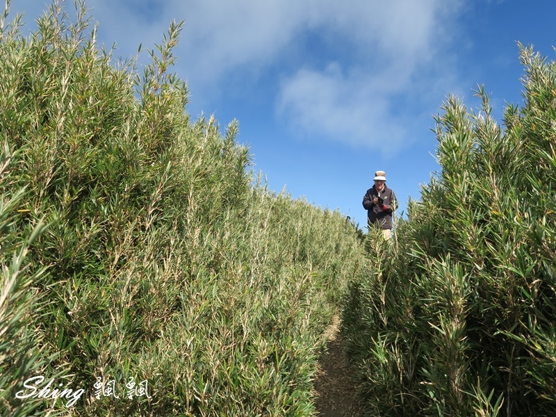 合歡山北峰 小溪營地露營120.JPG