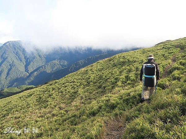 合歡山北峰 小溪營地露營133.JPG