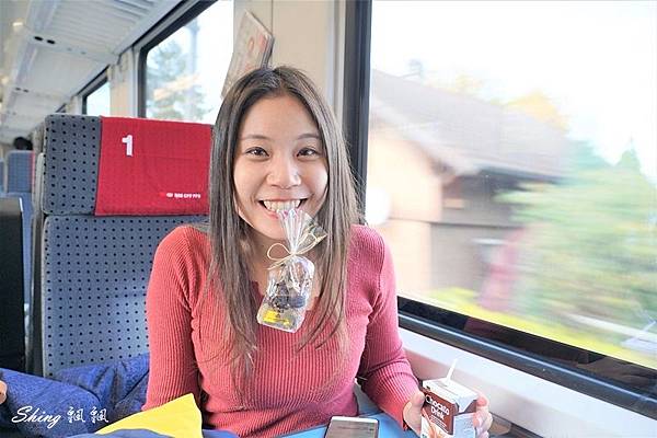 瑞士火車票Eurail Pass-瑞士旅遊必買優惠票劵,歐洲31國交通優惠 80.JPG