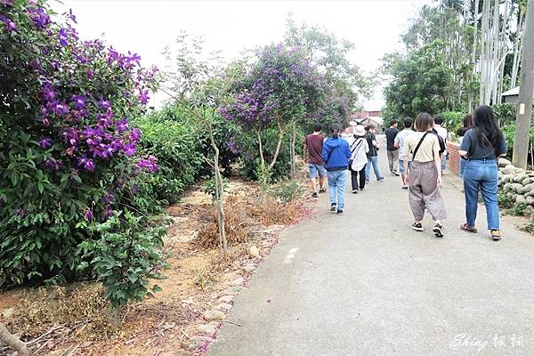 彰化八卦山-花仙子趣農村，花壇鄉旅遊 79.JPG