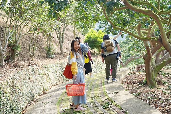 苗栗旅遊景點推薦-苗栗一日遊西湖採果農場餐廳 10.JPG