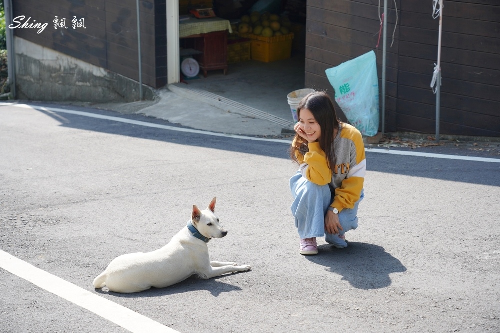 苗栗旅遊景點推薦-苗栗一日遊西湖採果農場餐廳 30.JPG