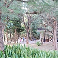 澎湖海景咖啡館推薦-及林春咖啡,林投公園咖啡廳 03.JPG