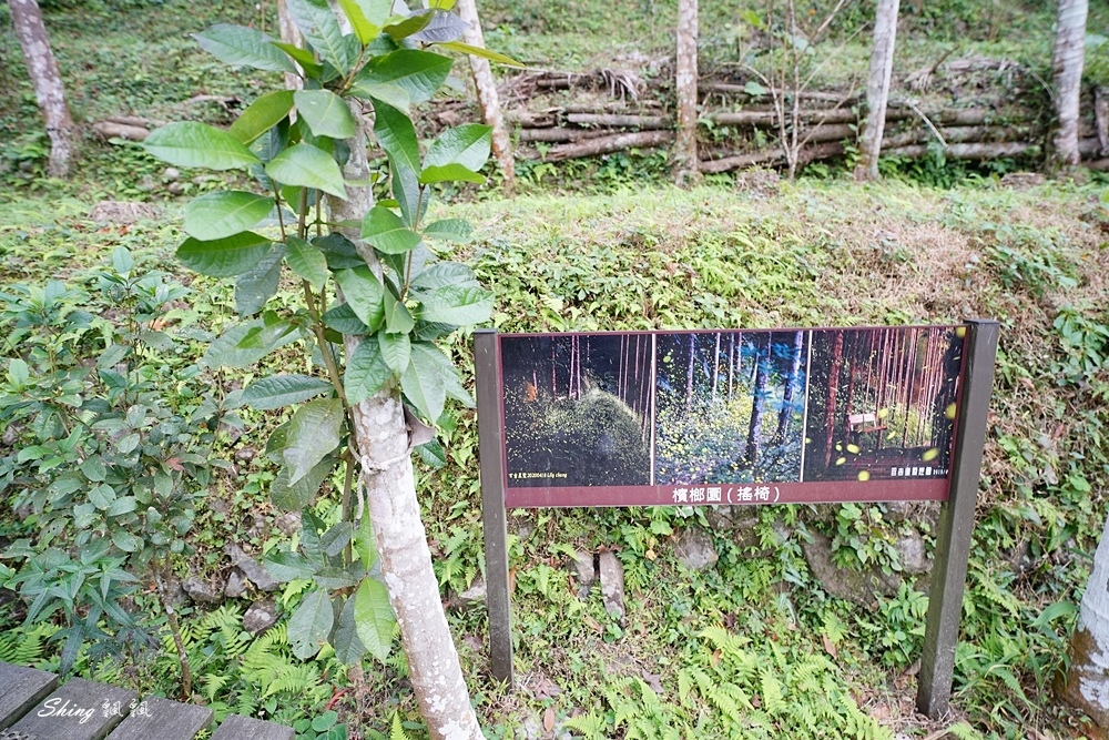 百吉星墅大溪住宿推薦-大溪住宿推薦,大溪包棟民宿,大溪螢火蟲季住宿,螢火蟲拍攝地點,台北螢火蟲攝影,桃園30人活動地點推薦 59.JPG