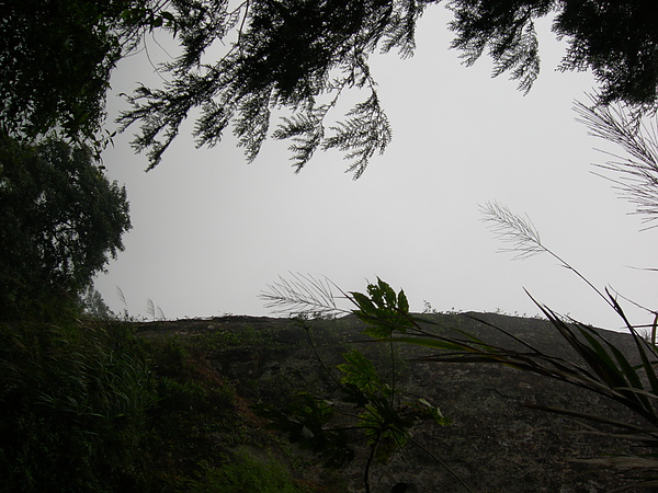 台美社登山隊溪頭天文臺登山記 039.jpg