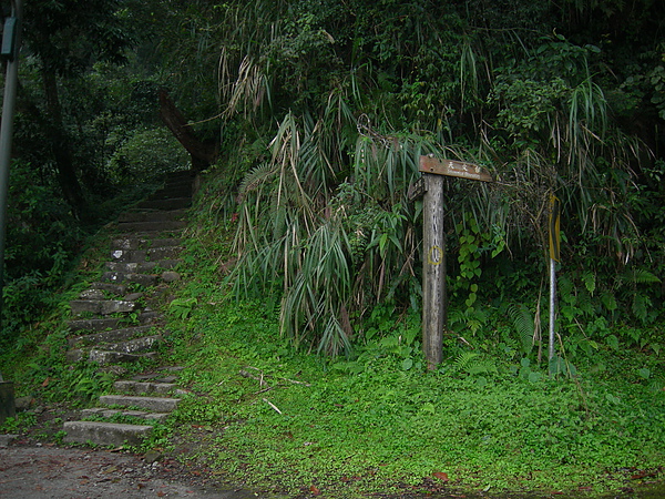 台美社登山隊溪頭天文臺登山記 028.jpg