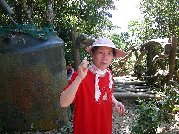 台美社登山隊大坑3號步道登山記 052.jpg