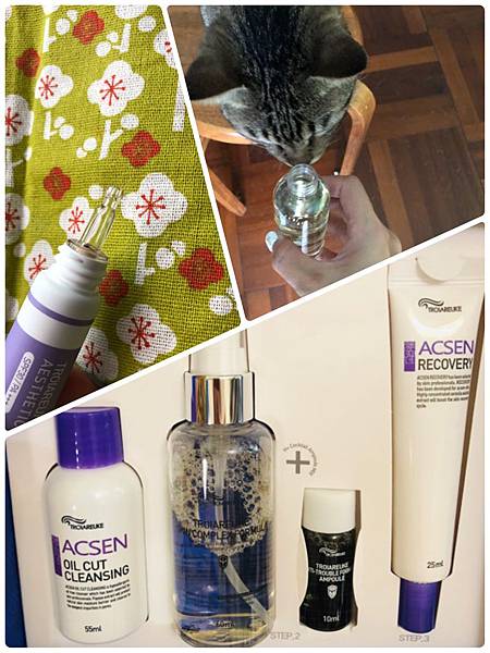 相片 9-10-2018 下午1 07 38.jpg