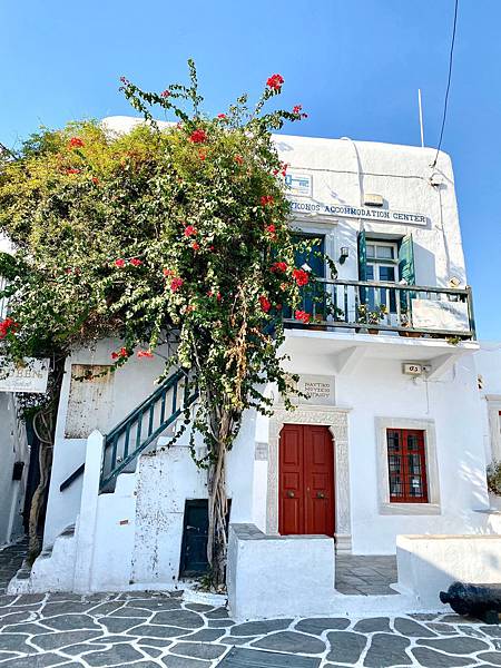 【希臘Greece】米克諾斯(Mykonos)【Hora小鎮】目目愛旅行