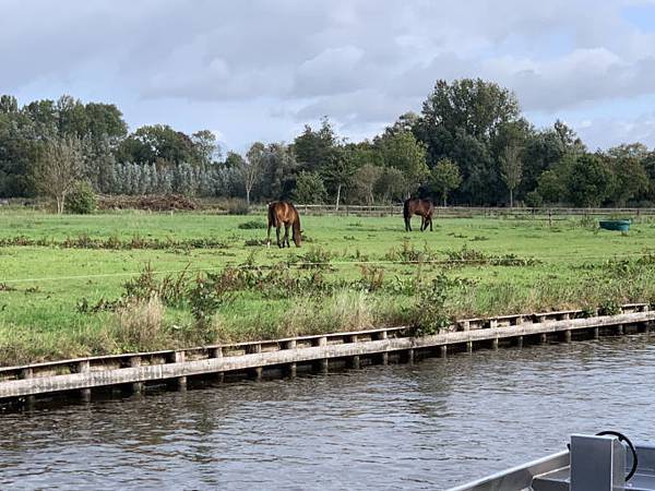 荷蘭-阿姆斯特丹 歐洲自助行(景點介紹)【羊角村 Giethoorn】目目愛旅行