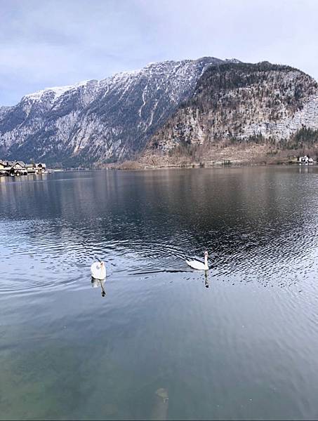 奧地利 歐洲自助行 絕美湖邊小鎮 哈修塔特 Hallstatt 聖沃爾夫岡 St.Wolfgangsee 目目愛旅行