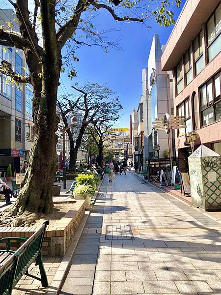  日本 東京 自由之丘  Mont St. Clair 目目愛旅行 