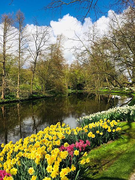 荷蘭 歐洲旅遊｜景點介紹｜庫肯霍夫花園 Keukenhof 鬱金香  目目愛旅行