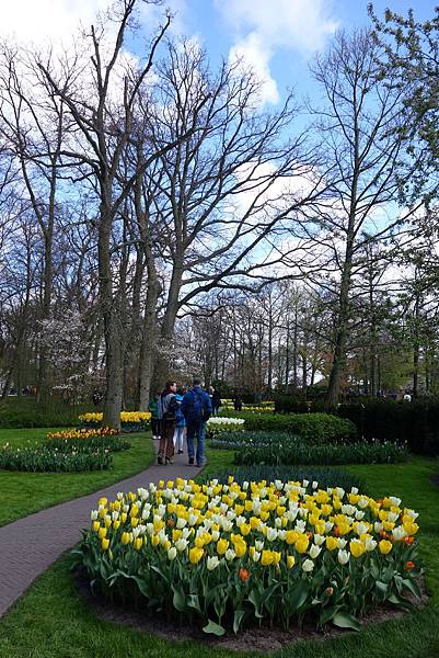 荷蘭 歐洲旅遊｜景點介紹｜庫肯霍夫花園 Keukenhof 鬱金香  目目愛旅行