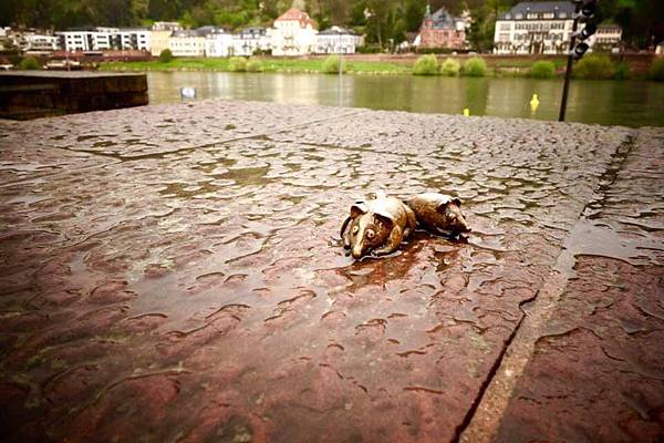 德國 歐洲自助行 海德堡Heidelberg 目目愛旅行