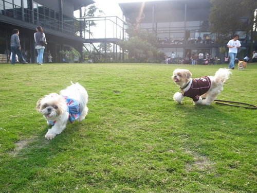 ap_F23_20101125104358990.jpg