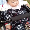 20120410_171416.jpg