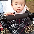 20120410_171703.jpg