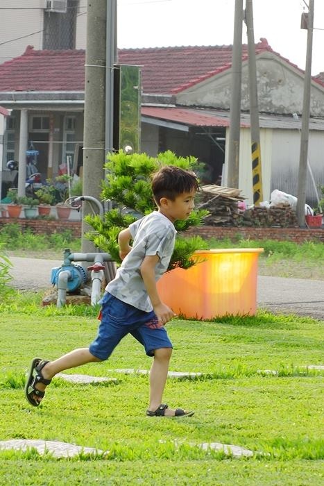 13083348_1118762404842325_8083593421980058983_n.jpg 13083348_1118762404842325_8083593421980058983_n.jpg