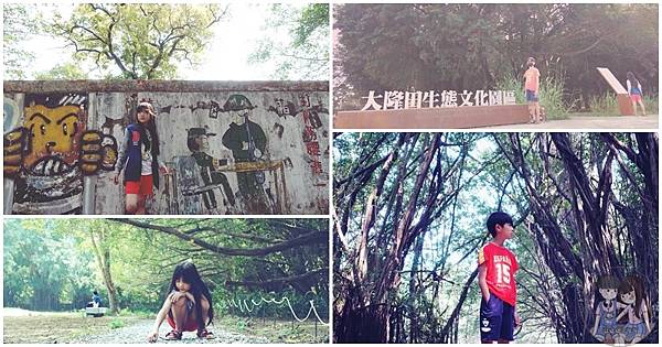 大隆田生態文化園區,綠色隧道,祕密森林,台南新秘境,榕樹大道,軍事設施,林蔭大道,台南,官田,秘境,網美,拍照,打卡,公園,森林