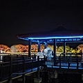 20250206_190152.jpg
