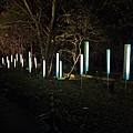 20250206_194023.jpg