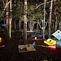 20250206_194407.jpg