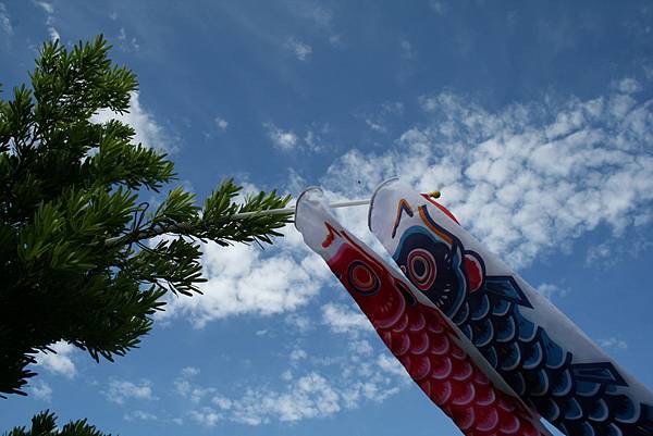 飛飛鯉魚旗在我家~