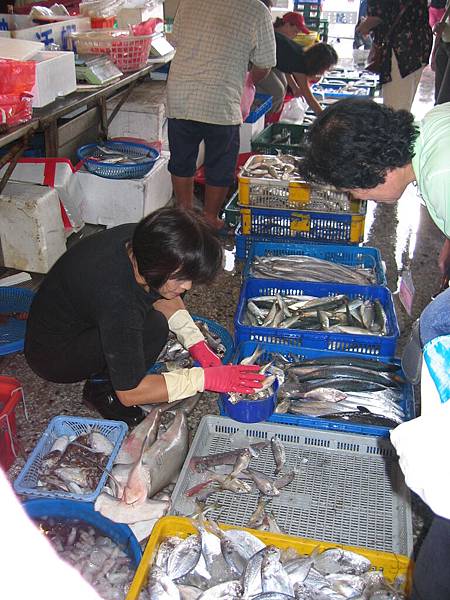 台中港漁獲